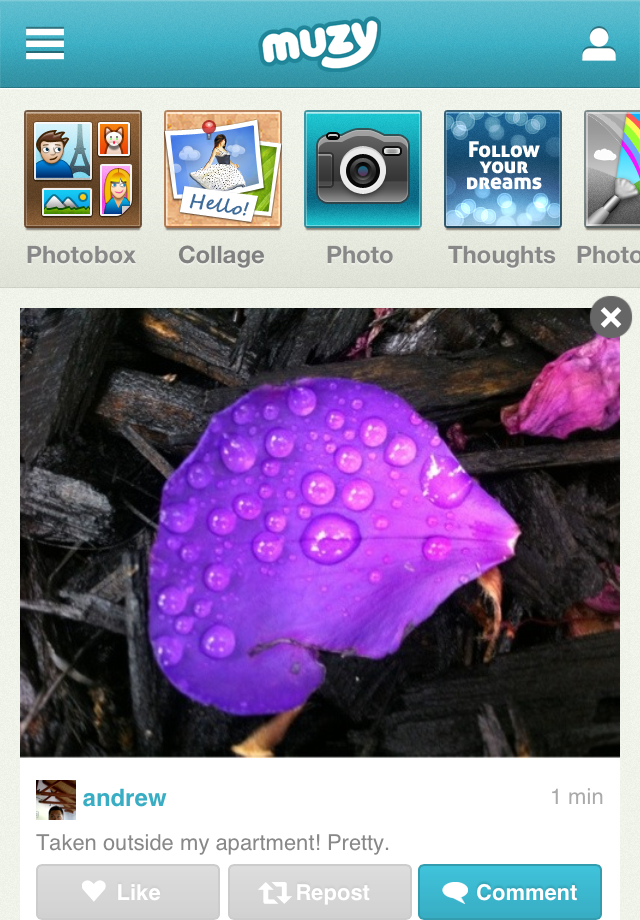 iPhone Screenshot 1